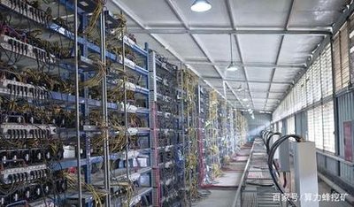 Expansive mining farm showcasing sophisticated hosting services and numerous rigs