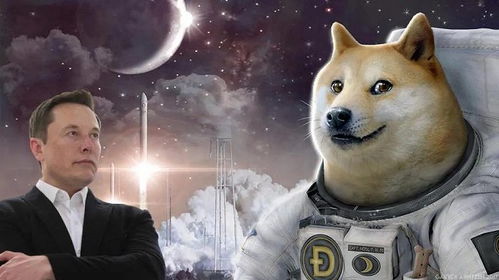 Doge-themed mining equipment